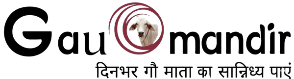 Logo design 11